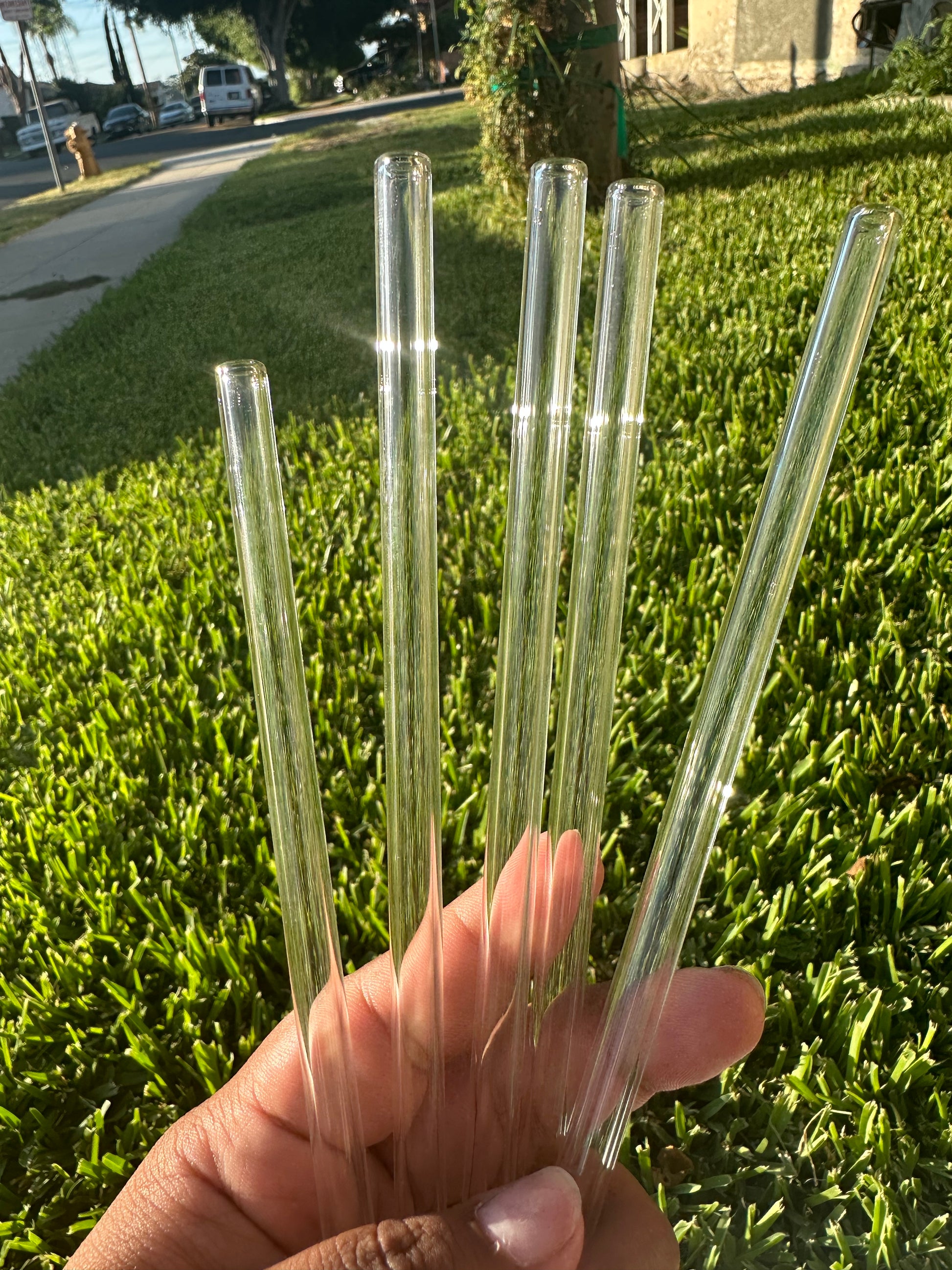 Glass Straw – Wild & Precious